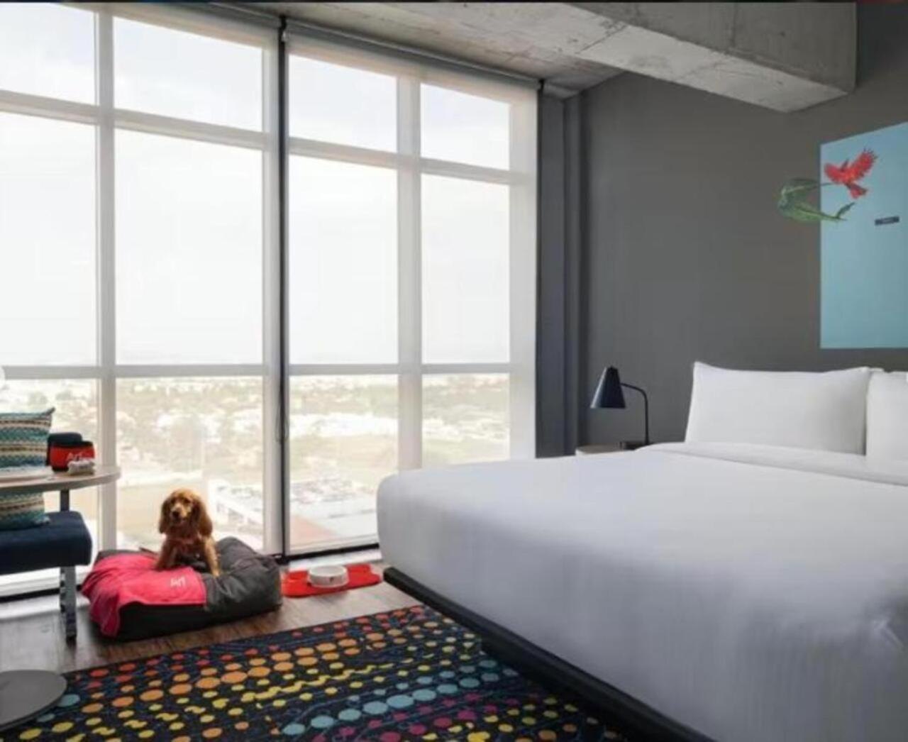 Aloft Guadalajara Sur 3* Santa Anita (Jalisco)